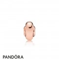 Pandora Rose Follow Your Heart Essence Spacer Charm Jewelry