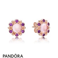 Pandora Rose Heraldic Radiance Earring Studs Jewelry Pandora Rose Heraldic Radiance Earring Studs Jewelry