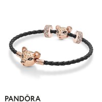 Pandora Rose Leather Lioness Bracelet Set Jewelry Pandora Rose Leather Lioness Bracelet Set Jewelry