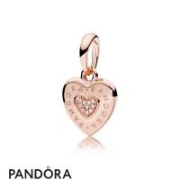 Pandora Rose Logo Heart Necklace Pendant Jewelry Pandora Rose Logo Heart Necklace Pendant Jewelry