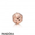 Pandora Rose Love Makes A Family Essence Charm Jewelry