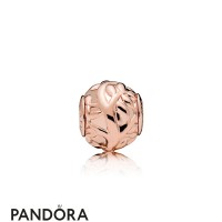 Pandora Rose Love Makes A Family Essence Charm Jewelry Pandora Rose Love Makes A Family Essence Charm Jewelry