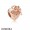 Pandora Rose Love You Lock Charm Jewelry