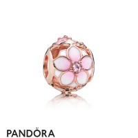 Pandora Rose Magnolia Bloom Charm Jewelry Pandora Rose Magnolia Bloom Charm Jewelry
