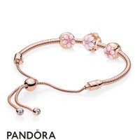 Pandora Rose Magnolia Bracelet Gift Set Jewelry Jewelry Pandora Rose Magnolia Bracelet Gift Set Jewelry Jewelry