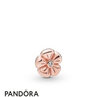 Pandora Rose Pandora Rose Classic Flower Petite Charm Jewelry Pandora Rose Pandora Rose Classic Flower Petite Charm Jewelry