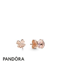 Pandora Rose Pandora Rose Four Leaf Clover And Ladybird Earring Studs Jewelry Pandora Rose Pandora Rose Four Leaf Clover And Ladybird Earring Studs Jewelry
