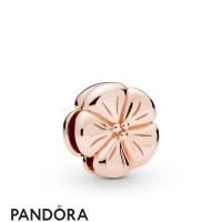 Pandora Rose Pandora Rose Reflexions Classic Flower Clip Charm Jewelry Pandora Rose Pandora Rose Reflexions Classic Flower Clip Charm Jewelry