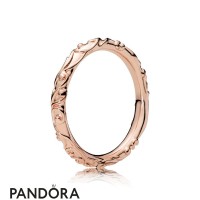 Pandora Rose Regal Beauty Ring Jewelry Pandora Rose Regal Beauty Ring Jewelry