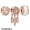 Pandora Rose Sparkling Dream Catcher Charm Pack Jewelry