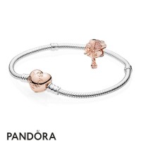 Pandora Rose Wildflower Meadow Gift Set Jewelry Pandora Rose Wildflower Meadow Gift Set Jewelry