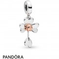 Pandora Rose With Sterling Silver Pandora Rose Clover & Ladybird Hanging Charm Jewelry
