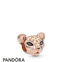 Pandora Rose Enamel Black Cubic Zirconia Sparkling Lion Princess Charm Jewelry Pandora Rose Enamel Black Cubic Zirconia Sparkling Lion Princess Charm Jewelry