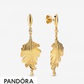 Pandora Shine Oak Leaf Earrings Jewelry