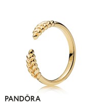 Pandora Shine Open Grains Ring Jewelry Pandora Shine Open Grains Ring Jewelry