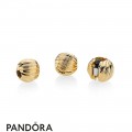 Pandora Shine Seeds Of Elegance Clip Jewelry