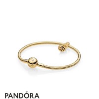 Women's Pandora Shine Sweet Jewelry