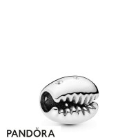 Women's Pandora Sparkling Coffee Bean Shell Charm Jewelry Women's Pandora Sparkling Coffee Bean Shell Charm Jewelry