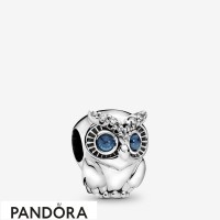 Women's Pandora Sparkling Owl Charm Jewelry Women's Pandora Sparkling Owl Charm Jewelry