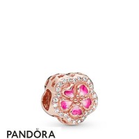 Women's Pandora Sparkling Peach Blossom Flower Charm Jewelry Women's Pandora Sparkling Peach Blossom Flower Charm Jewelry