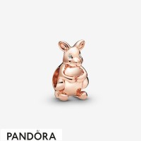 Women's Pandora Sweet Kangaroo Charm Jewelry Women's Pandora Sweet Kangaroo Charm Jewelry
