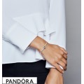 Women's Pandora Window Heart Charm Jewelry