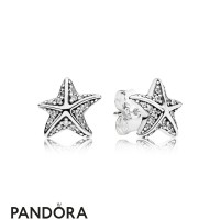 Pandora Earrings Tropical Starfish Stud Earrings Jewelry Pandora Earrings Tropical Starfish Stud Earrings Jewelry
