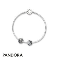 Women's Pandora Essence Balance Freedom Set Jewelry Women's Pandora Essence Balance Freedom Set Jewelry