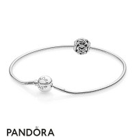 Women's Pandora Essence Collection Starter Set Jewelry Women's Pandora Essence Collection Starter Set Jewelry