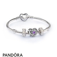 Women's Pandora February Signature Heart Birthstone Charm Bracelet Set Jewelry Women's Pandora February Signature Heart Birthstone Charm Bracelet Set Jewelry