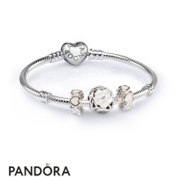 Women's Pandora Luminous Floral Openwork Charm Bracelet Set Jewelry Women's Pandora Luminous Floral Openwork Charm Bracelet Set Jewelry