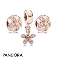 Pandora Rose Dazzling Daisy Charm Pack Jewelry Pandora Rose Dazzling Daisy Charm Pack Jewelry