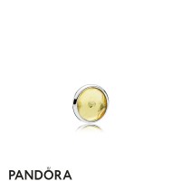 Pandora Lockets November Droplet Petite Charm Jewelry Pandora Lockets November Droplet Petite Charm Jewelry