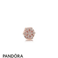 Pandora Lockets Shimmering Snowflake Petite Charm Pandora Rose Jewelry Pandora Lockets Shimmering Snowflake Petite Charm Pandora Rose Jewelry