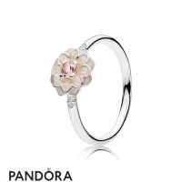 Pandora Rings Blooming Dahlia Ring Cream Enamel Blush Pink Jewelry Pandora Rings Blooming Dahlia Ring Cream Enamel Blush Pink Jewelry