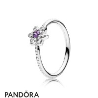 Pandora Rings Jewelry Forget Me Not Ring Purple Jewelry Pandora Rings Jewelry Forget Me Not Ring Purple Jewelry