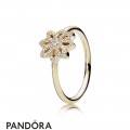 Pandora Rings Lace Botanique Ring 14K Gold Jewelry