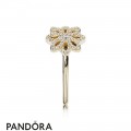 Pandora Rings Lace Botanique Ring 14K Gold Jewelry