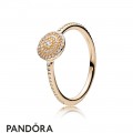 Pandora Rings Radiant Elegance Ring 14K Gold Jewelry