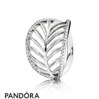 Pandora Rings Tropical Palm Leaf Ring Jewelry Pandora Rings Tropical Palm Leaf Ring Jewelry